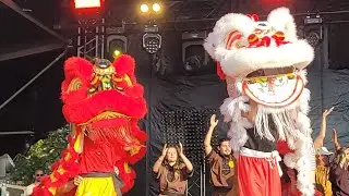 3/3 Galettes du Monde 2024, Thiéfaine, Musique du Monde, l'Usine à Canards, Sankôfa et les Sandrofia