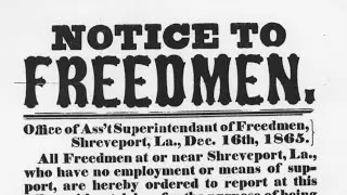 BTP | Introduction to the Freedmen's Bureau Records