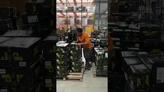 Flying Beast Biggest surprise