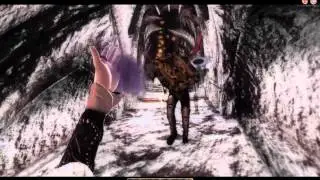 Oblivion Martigen's Monster Mod Oblivion Gate Test