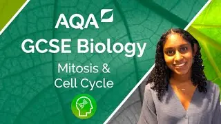 AQA GCSE Biology: Mitosis and the Cell Cycle