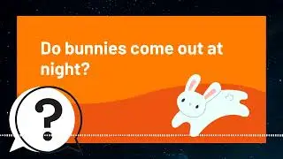 But Why Kids | 🐰Do bunnies come out at night?🐰 | Full Podcast Episode