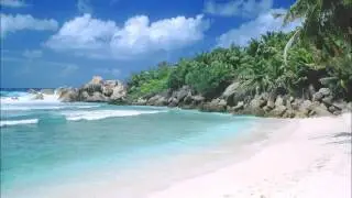 Seek Bromance(McAnarney Remix)