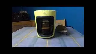 Coffee Machine Tchibo Cafissimo mini Salsa (Hedgehog Service)