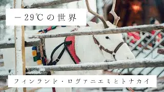 −29℃の世界｜フィンランド・ロヴァニエミとトナカイ