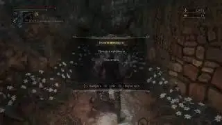 Bloodborne №12 (Чаши)