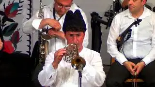 GERGINA 2014 - NELUCU MURGILA