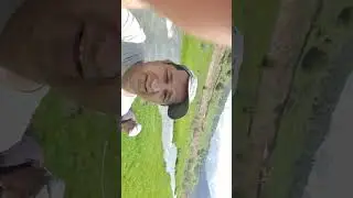 Зомин дам олиш маскани