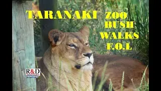 New Plymouth's Pouakai Zoo | Bush Walks | FOL | Scenes of New Zealand