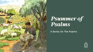 Psummer of Psalms: Life's Big Questions & Answers From The Bible