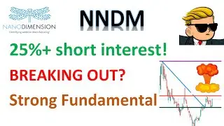 #NNDM 🔥BREAKING OUT! Ready to explode? High short interest and Reddit support.Bullish call options!