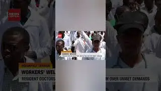 No Funds, No Future? Nigerian Doctors Left Hanging