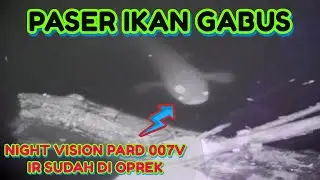 PASER IKAN GABUS MENGGUNAKAN //PARD 007V/Lensa IR sudah di oprek/Lihat kejernihannya