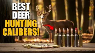 I Asked 100 Deer Guides What the Best Mule Deer Cartridge Is &mdash; The Winner Shocked Me!