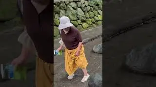 🌸 Stepping into Fuji&rsquo;s Ice-Cold Spring &ndash; softypapa shorts ❄️💧⛰️🇯🇵