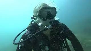 Diving at Stradbroke Island &ndash; Brisbane, Australia 🤿🐠
