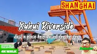 🇨🇳Walking Along Xuhui BinJiang Riverside 4K | Everyday Shanghai🇨🇳