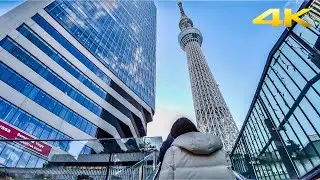 【4K】Tokyo Skytree to Sumida park virtual walk