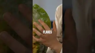 Why Winter Melons are called Winter Melons