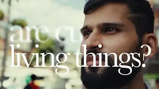 Cultures Are Living Systems | Rana G @ Harvard | Augmentation Lab