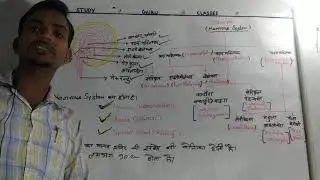 Nervous system ( tantrika tantra) subscribe now