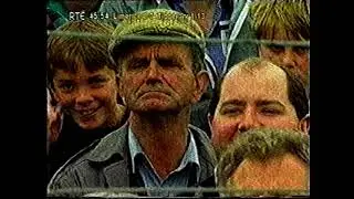 1996 Munster Hurling Final Limerick v Tipperary