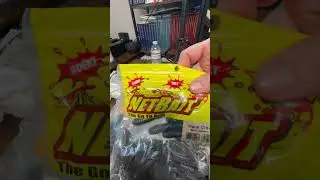 Netbait Paca Craw/Wacky Worm Wacky Craw Video Prep #bassfishing #shorts #youtubeshorts #shortvideo