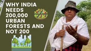 Why India needs 2 lakh urban forests and not 200 | Peepal Baba