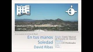 En tus manos Soledad - D.Rivas [Versión Banda]