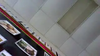 KMK Incubator May 2022