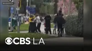 Video shows West Hollywood security ambassador beating homeless person