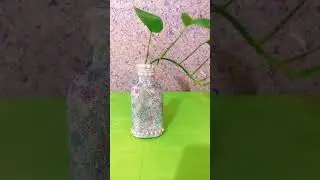 money plant decoration 💡 idea in glass bottle #trending #plants 💥🎉💯