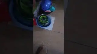Banjer bosku