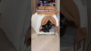 Cat Tent | Hideout Indoor Cat House #catlife