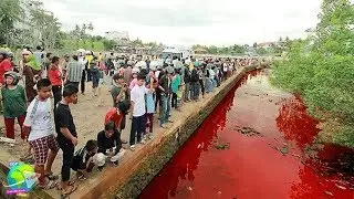 Fenomena Aneh!! Sungai Tiba&sup2; Berwarna Merah... Dikira Luka Sapi!! Ternyata...