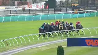 JUST CHARLIE - Metropolitan Trophy 2025 (Hcp LR) в списке Riccarton NZ 8 ноября