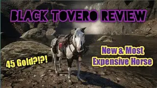 Обзор Black Tovero Horse в Red Dead Online
