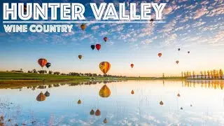 Christmas Lights Spectacular - Hunter Valley Garden, Cafe Enzo, Tyrrell's, Crown Plaza, Mercure