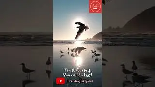 Trust Your Self #nature #motivation #shorts
