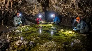 Deep in Romania, Lies movile cave, a place that's Been Sealed off from Surface for 5 5 Million Years