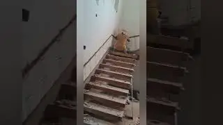 electrical plumbing work