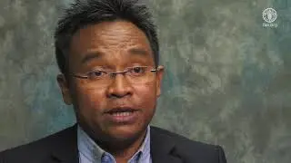 La restauration des paysages et des for&ecirc;ts dans Madagascar par Julien No&euml;l Rakotoarisoa