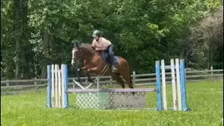 WINING AND DINING | HORSE FOR SALE