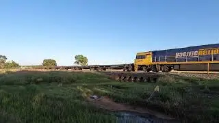NR101 & NR115 Condobolin East NSW.  Wed 26th Feb 2025