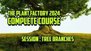 Complete Plant Factory 2024 Course: 4 - Adding branches