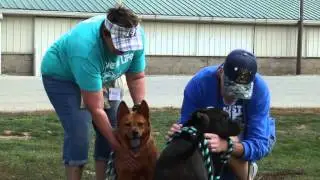 Hamilton County Tourism Gives: Hamilton County Humane Society
