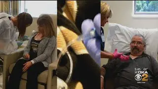 Immunotherapy Breakthrough In Cancer Treatments Providing Results