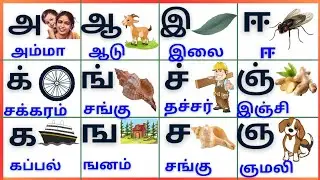அஆஇஈ/க்ங்ச்ஞ்/கஙசஞ/Tamil Alphabets for kids @PEEKABOO-ff8wq #tamilalphabets