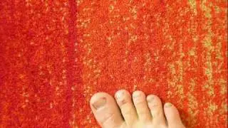 carrot carpets
