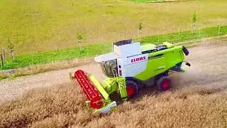 Claas Lexion 650 im Raps | Getreideernte 2025